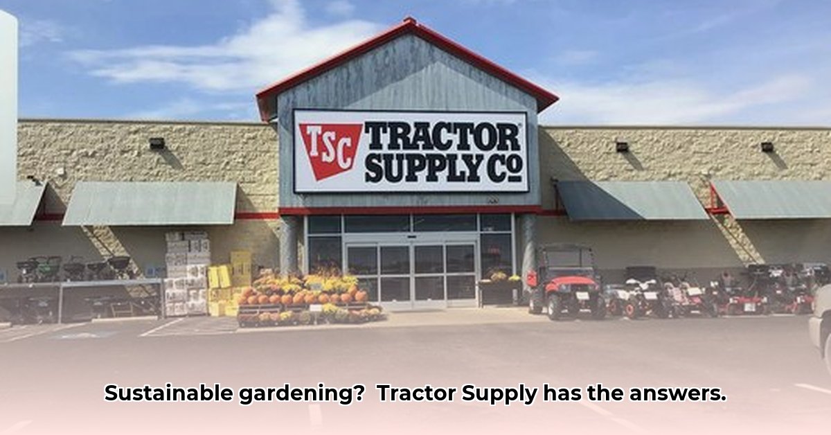 tractor-supply-napa